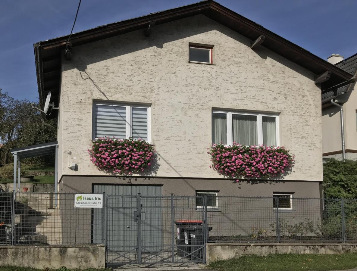 Haus-Iris-Mauerbach Villa Buitenkant foto