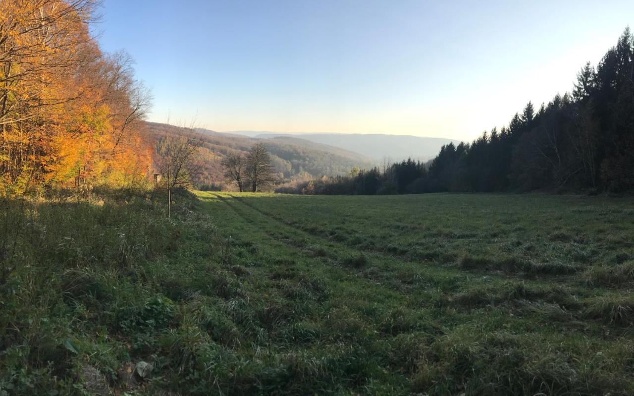 Haus-Iris-Mauerbach Villa Buitenkant foto